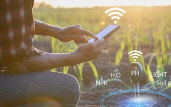 IoT AI in agriculture: fighting world hunger in real time (picture: adobe stock - sutadimages)