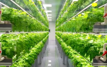 Swegreens: AI agriculture in the city (picture: adobe stock - Wirestock)